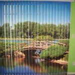 Digitally Printed Blinds in Manchester